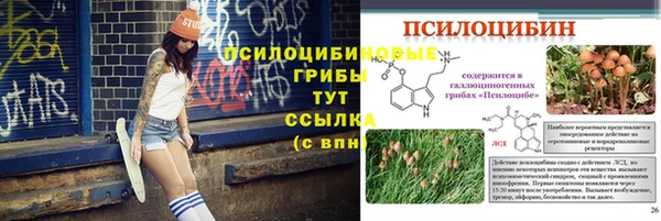 прущий лед Алексеевка