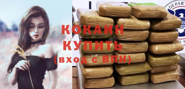 крисы Абаза