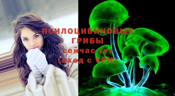 крисы Абаза